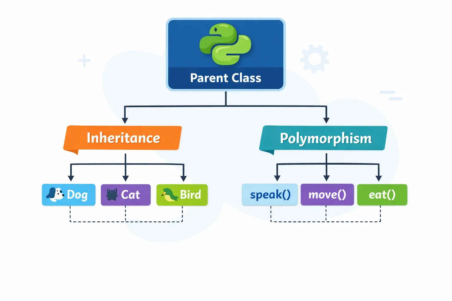 Python Inheritance and Polymorphism Explained