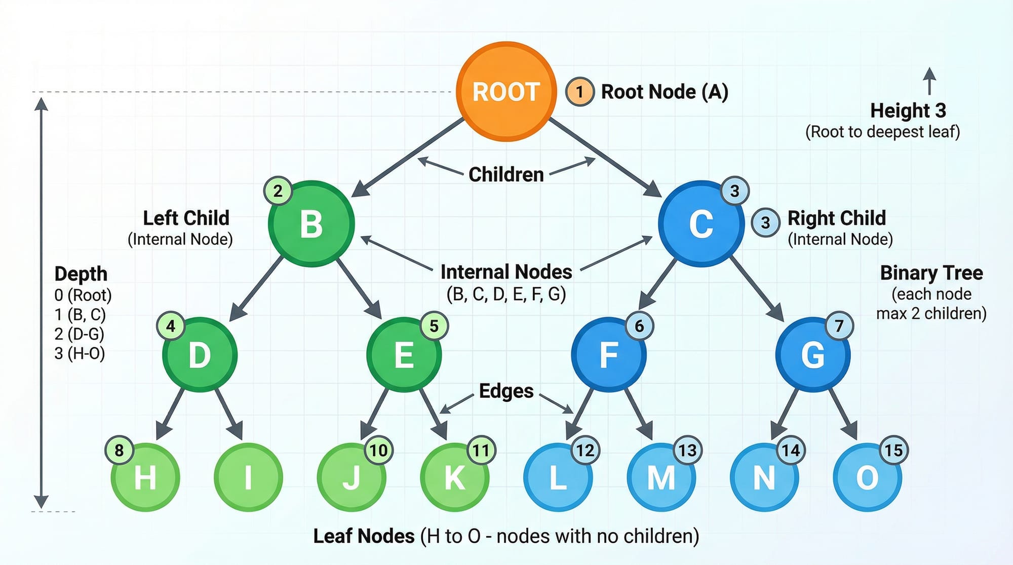 Binary Trees & Binary Search Trees Complete Guide