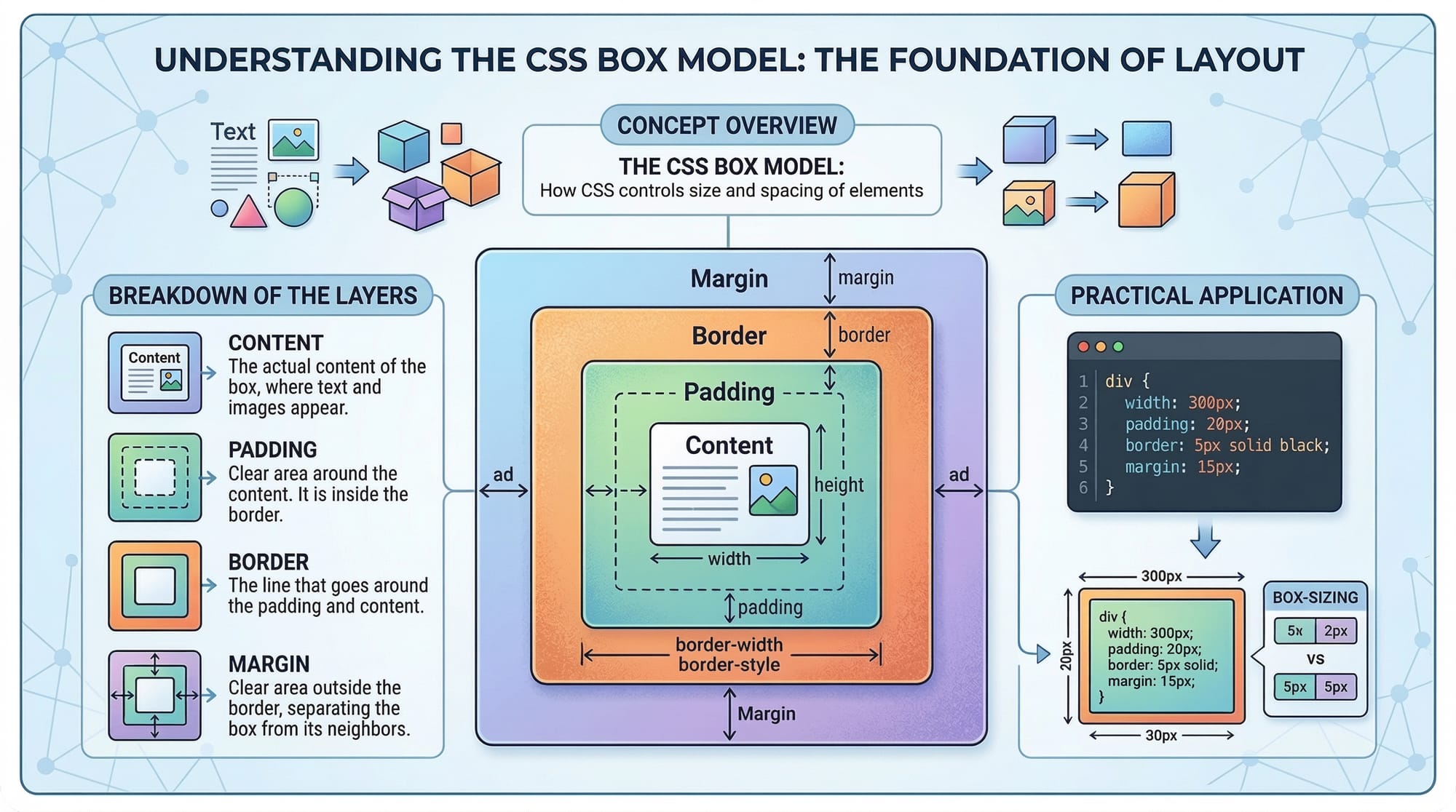 CSS Position  Display & Box Model Explained