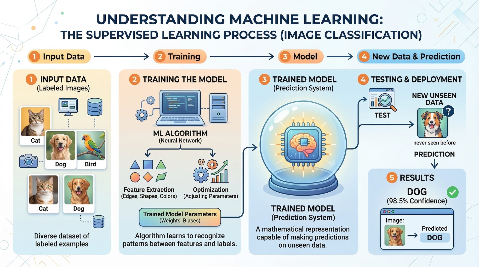 Building ML Models Training  Evaluation & Metrics