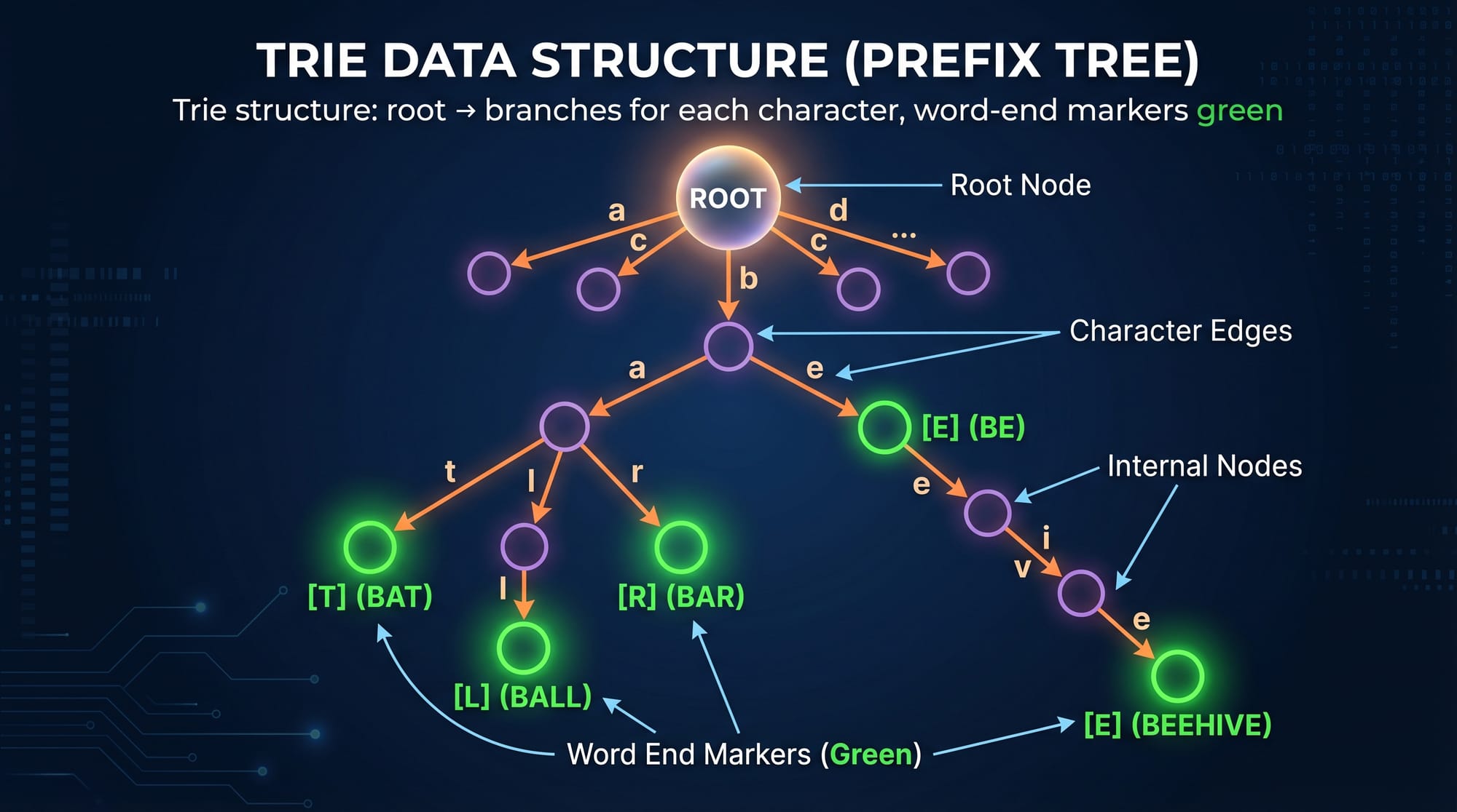 Trie Data Structure Prefix Trees & Autocomplete